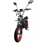 Електровелосипед Minako Apex 240W 48V 20Ah (City E-Bike) - Зображення 3