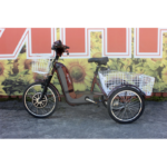 Електровелосипед триколісний SKYMOTO BIG HAPPY 350W 48V 10Ah 24″ - Зображення 5