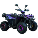 Квадроцикл SPARK SP125-11