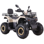 Квадроцикл SPARK SP200-10