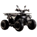Квадроцикл SPARK SP125-9