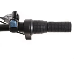 Електровелосипед Maxxter City 2.0 250W 48V 8Ah (Silver) - Зображення 6